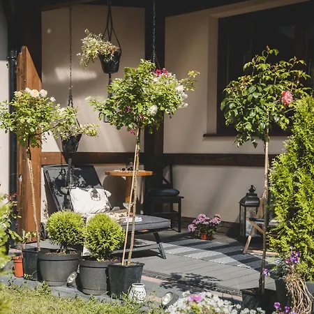 Dwa Niedzwiedzie Nad Potokiem Zakopane Appartement *