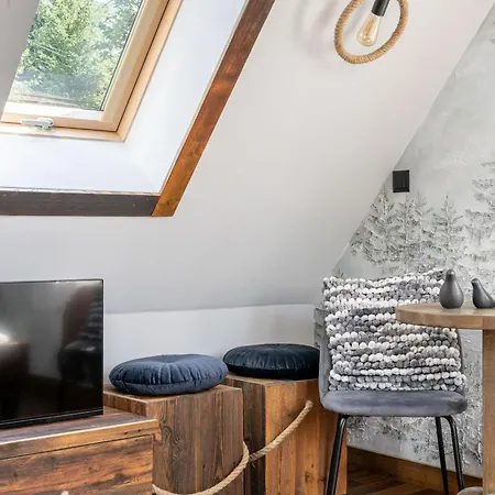Dwa Niedzwiedzie Nad Potokiem Zakopane