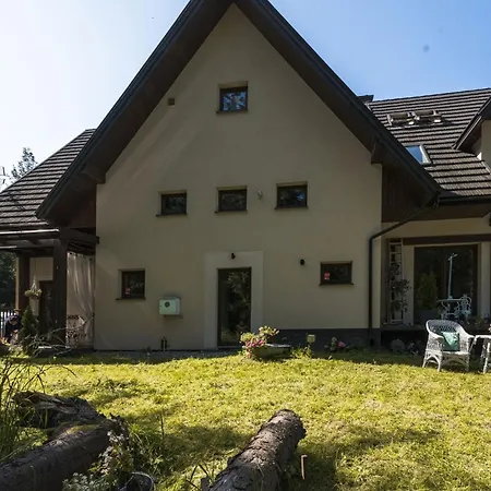 Dwa Niedzwiedzie Nad Potokiem Zakopane