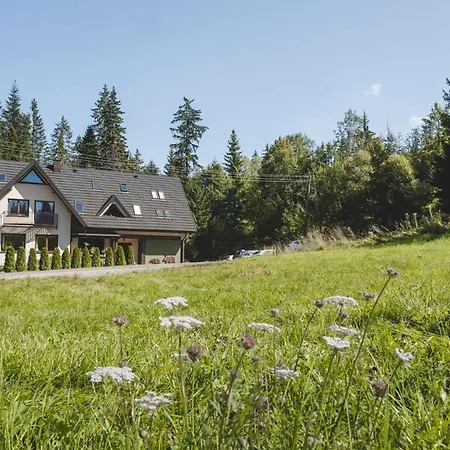 Dwa Niedzwiedzie Nad Potokiem Zakopane