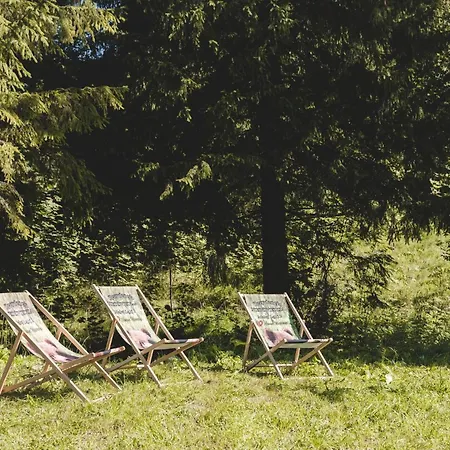 Dwa Niedzwiedzie Nad Potokiem Zakopane * Koscielisko