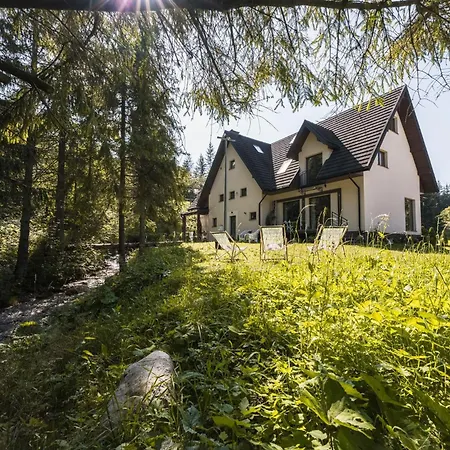 Dwa Niedzwiedzie Nad Potokiem Zakopane *