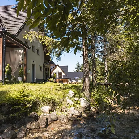 Apartment Dwa Niedzwiedzie Nad Potokiem Zakopane *